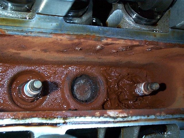 Ford focus spark plug corrosion #8